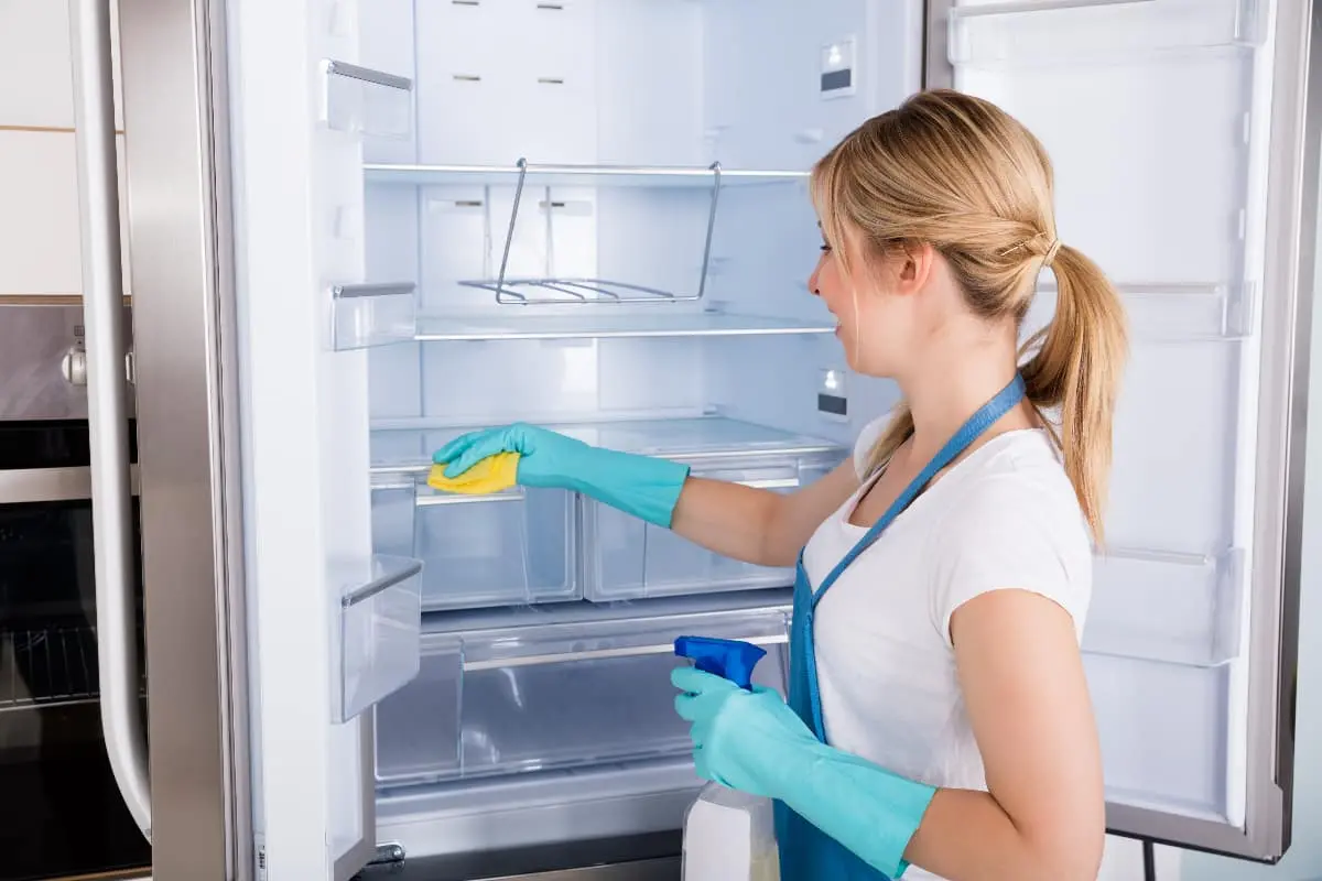 Cómo Limpiar el Ventilador Frigorífico Bosch: Guía Completa y Consejos - Cómo limpiar el frigorífico por fuera limpiar ventilador frigorifico bosch - Cómo limpiar el frigorífico por fuera
