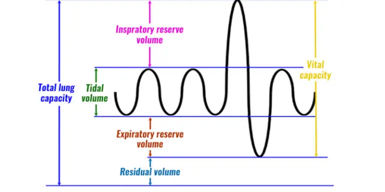 ¿Cuánto Volumen Corriente en Ventilación Mecánica? - Cómo se calcula el volumen de corriente cuanto volumen corriente en ventilación mecanica - Cómo se calcula el volumen de corriente