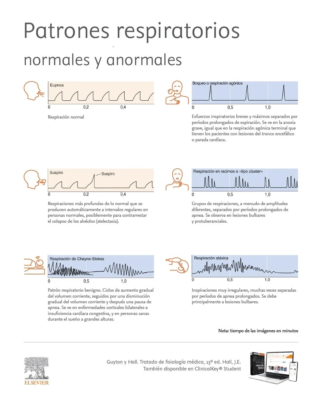 estado conciencia o dificultad para ventilar - Cómo se clasifica el estado de conciencia