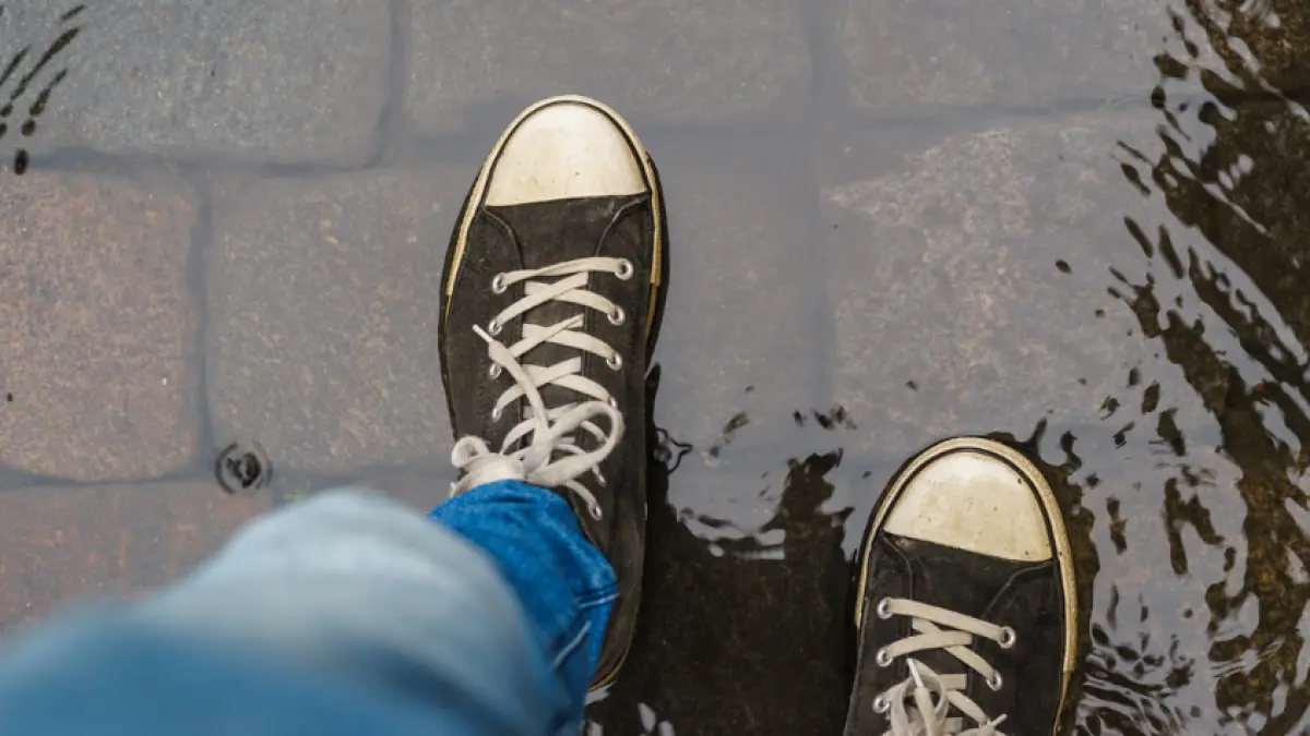 cuanto tarda un par de zapatos en secar con ventilador - Cómo secar un par de zapatos rápido