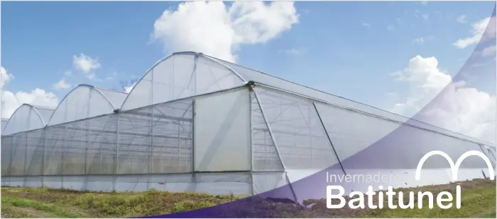 Ventilación Natural en Invernaderos Tipo Túnel: Una Guía Completa - Cómo ventilar naturalmente un invernadero invernadero tipo tunel con ventilación natural - Cómo ventilar naturalmente un invernadero