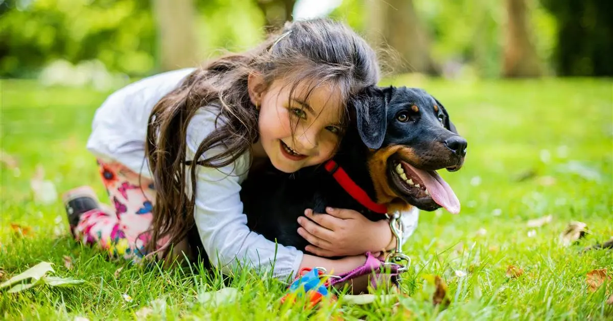 habitaciones ventiladas animales - Cuál es la mascota más fácil de cuidar