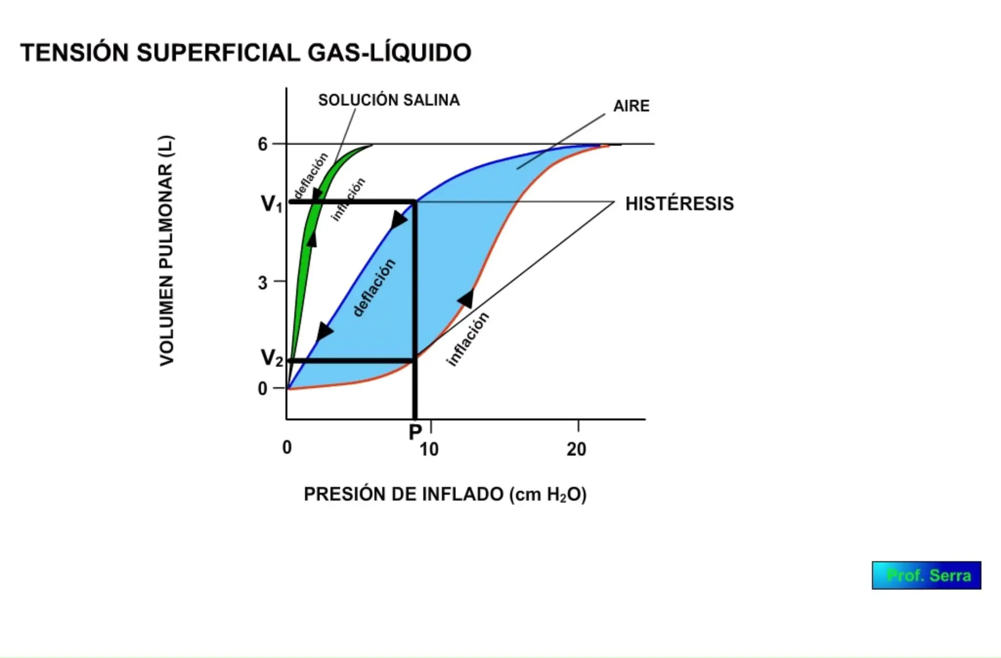 Hipoxia y Anemia: Entendiendo la Relación y sus Implicaciones - Cuáles son las causas de la cianosis central desigualdad entre la ventilación y riego - Cuáles son las causas de la cianosis central