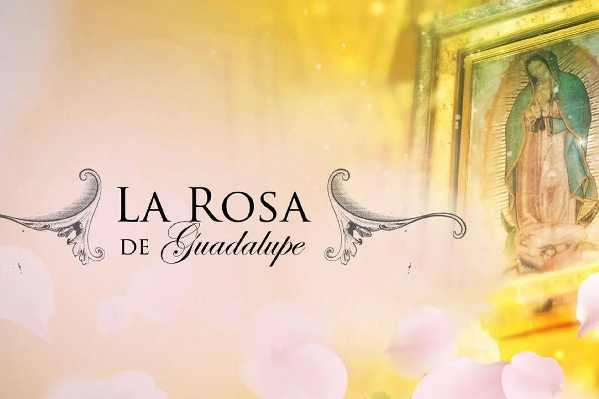 la rosa de guadalupe ventilador - Cuánto le pagan a una actriz de La Rosa de Guadalupe