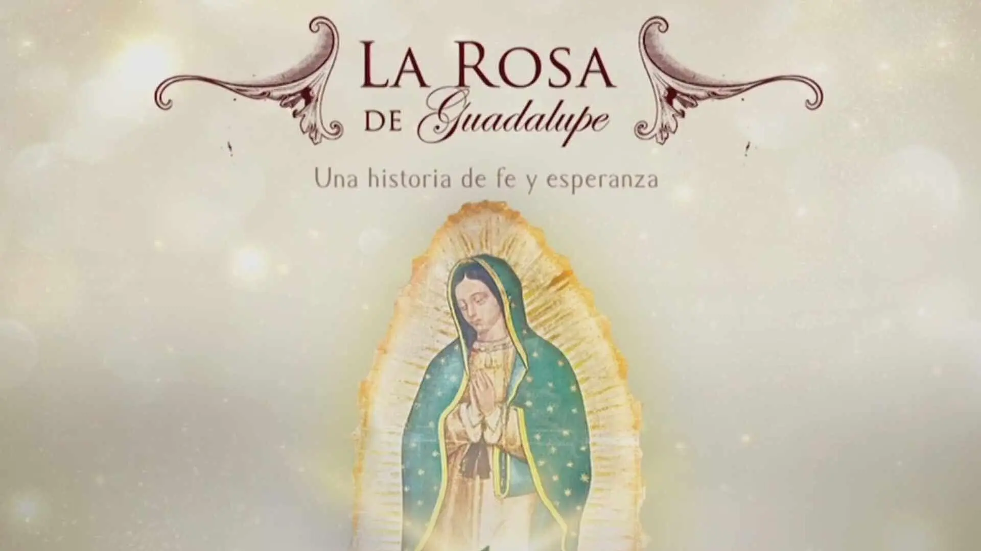la rosa de guadalupe ventilador - Cuánto lleva La Rosa de Guadalupe al aire