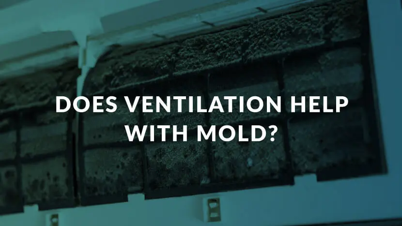 does ventilation prevent mold - Does airflow prevent mold