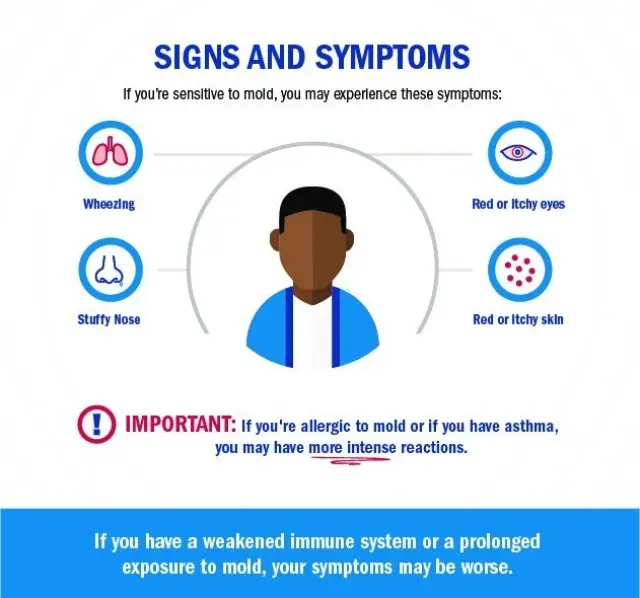 does ventilation prevent mold - Does good ventilation prevent mould