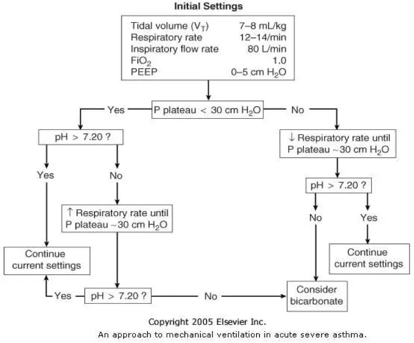 ventilation asthma guidelines - Does ventilation help asthma