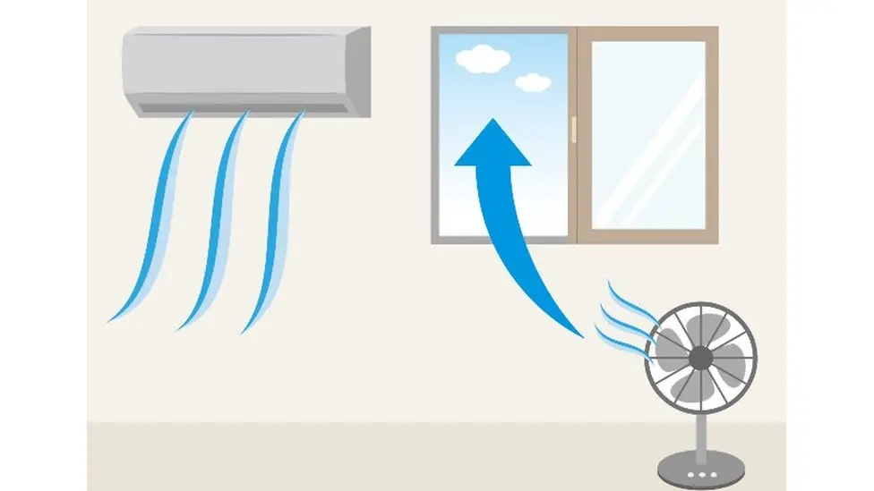 Ambientes Ventilados: La Clave para Prevenir la Tuberculosis - Dónde se encuentra la bacteria de la tuberculosis ambientes ventilados para prevenir tuberulosisdibujo animado - Dónde se encuentra la bacteria de la tuberculosis