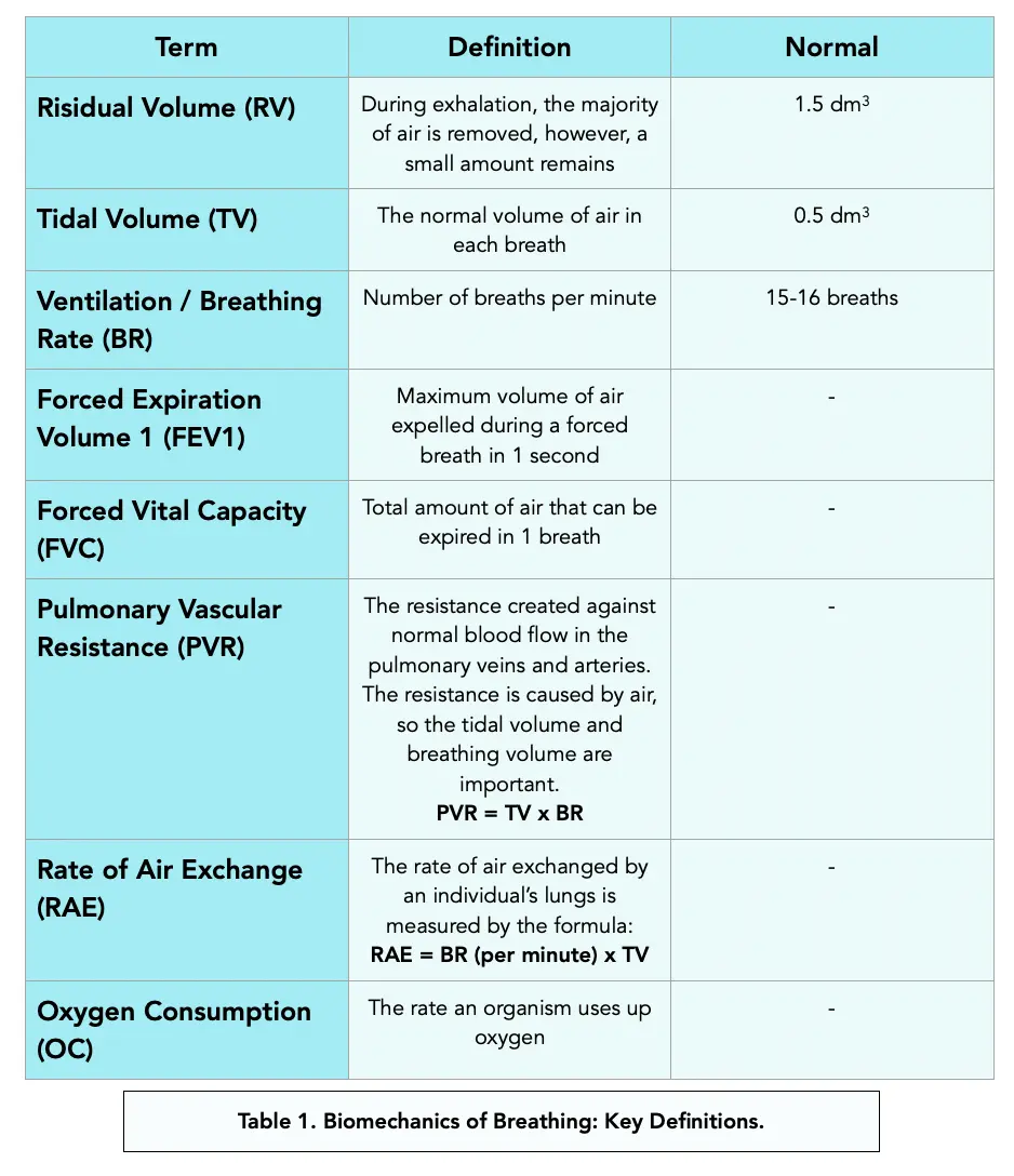 Tasa de Ventilación: Medición, Importancia y Factores Influyentes - How can ventilation rate be monitored measure rate of ventilation - How can ventilation rate be monitored