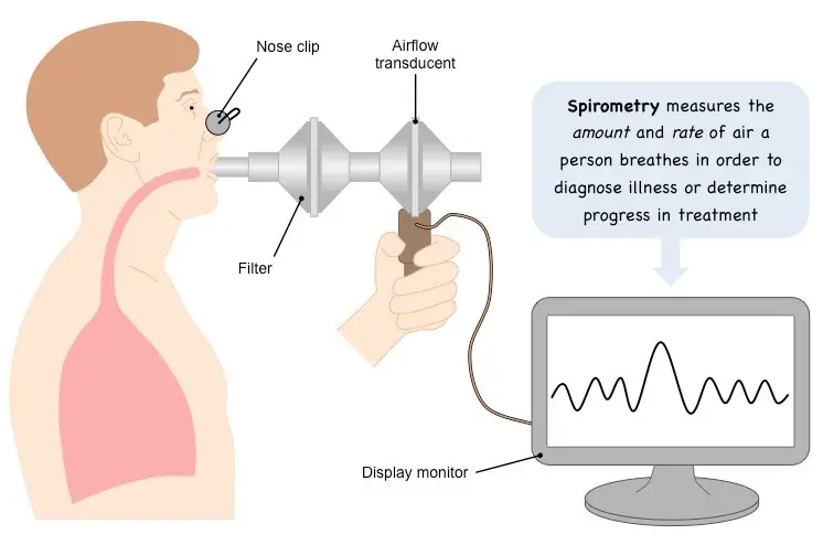 Tasa de Ventilación: Medición, Importancia y Factores Influyentes - How do you calculate ventilation rate a level measure rate of ventilation - How do you calculate ventilation rate a level