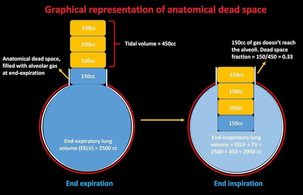 dead space mechanical ventilation - How do you reduce mechanical dead space