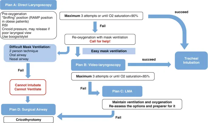 Manejo de la Vía Aérea y Ventilación en ATLS: Una Guía Completa - How do you treat a pneumothorax in ATLS managent aerway and ventilation atls - How do you treat a pneumothorax in ATLS