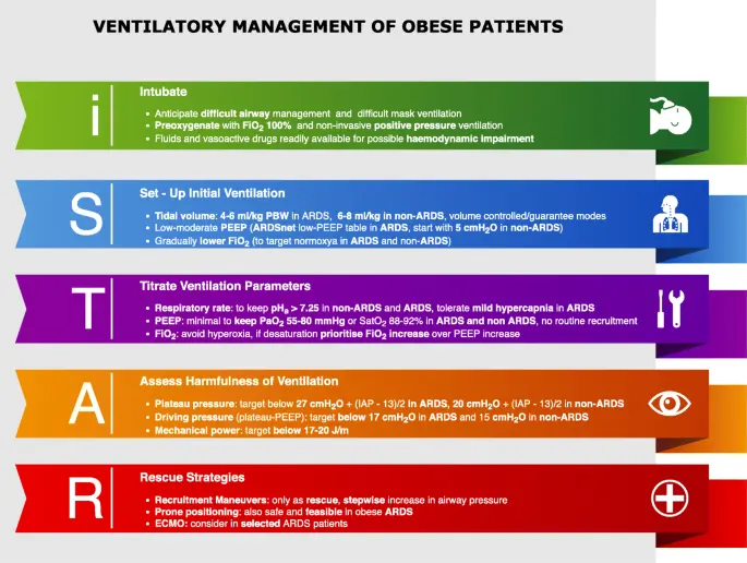 Ventilación Mecánica en la Obesidad: Un Desafío Complejo - How does obesity affect ventilation mechanical ventilation obesity - How does obesity affect ventilation
