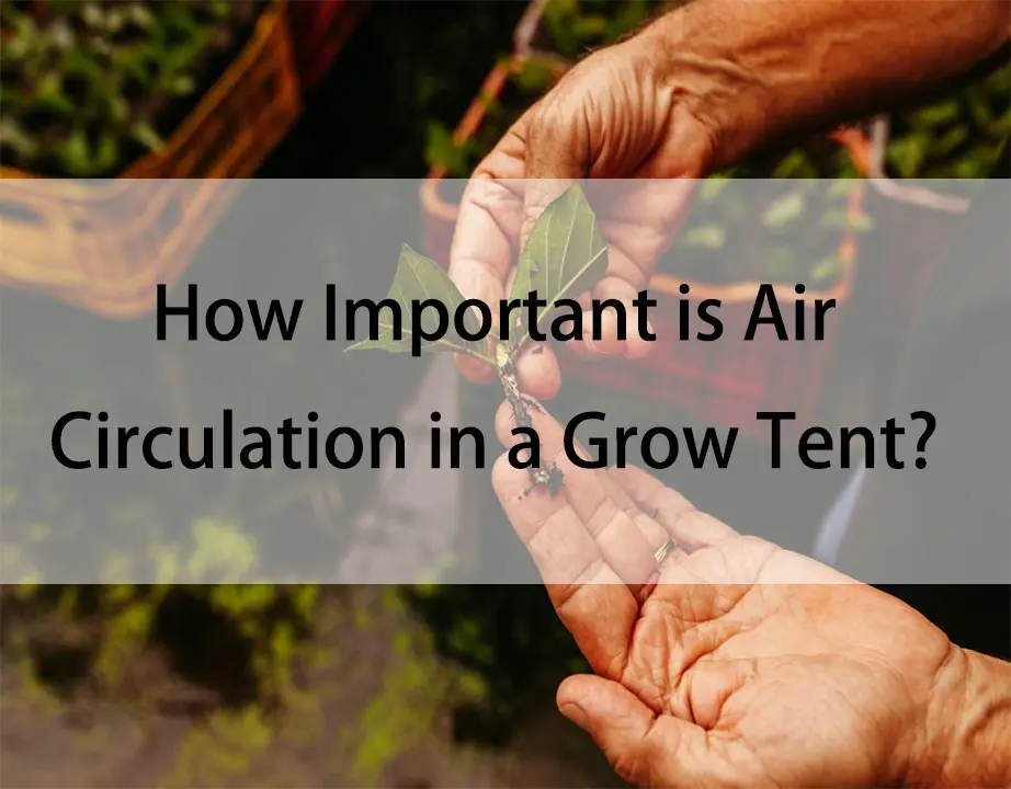 grow tent ventilation - How important is airflow in a grow tent