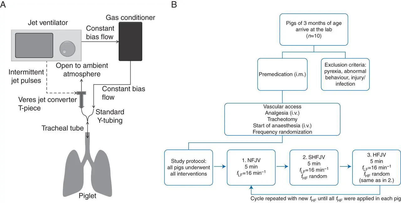 La Mecánica del Tejido Pulmonar bajo Ventilación de Alta Frecuencia - How is high frequency ventilation different from mechanical ventilation the mechanics of lung tissue under high-frequency ventilation - How is high frequency ventilation different from mechanical ventilation