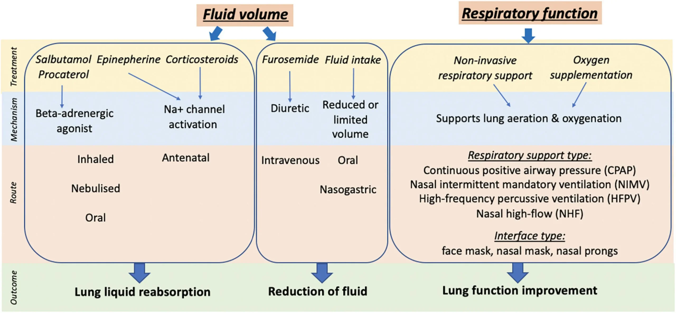 Taquipnea Transitoria del Recién Nacido: Causas, Síntomas y Tratamiento - How to treat transient tachypnea of the newborn mode mechanical ventilation used in transient tachypnea newborn - How to treat transient tachypnea of the newborn