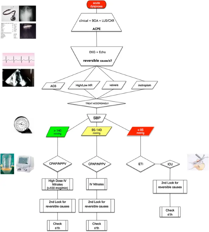 Ventilación No Invasiva en el Edema Pulmonar Agudo Cardiogénico: ¿Es la Hipocapnia un Factor de Riesgo? - Is hypocapnia a risk factor for non invasive ventilation failure in cardiogenic acute pulmonary edema non-invasive ventilation in acute cardiogenic pulmonary edema - Is hypocapnia a risk factor for non invasive ventilation failure in cardiogenic acute pulmonary edema