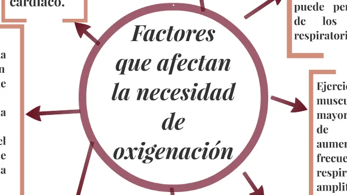 factores que afectan la ventilación pulmonar - Qué afecta la ventilación pulmonar