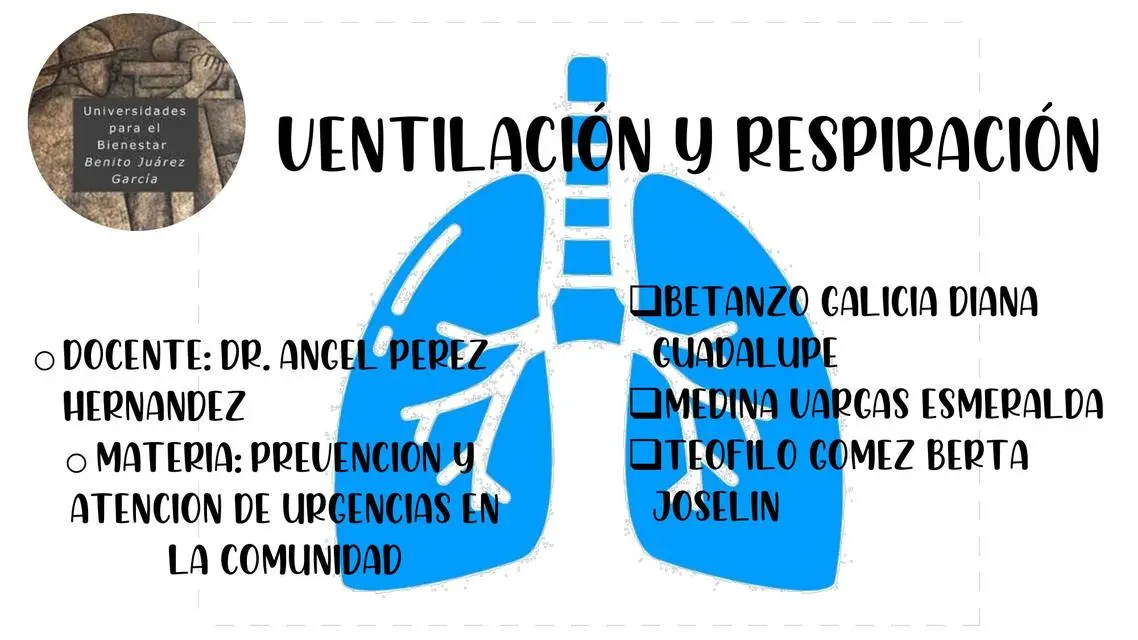 Diferencia entre Respiración y Ventilación Pulmonar: Una Guía Completa - Qué diferencia hay entre ventilación pulmonar y Hematosis diferencia entre respiración y ventilación pulmonar - Qué diferencia hay entre ventilación pulmonar y Hematosis