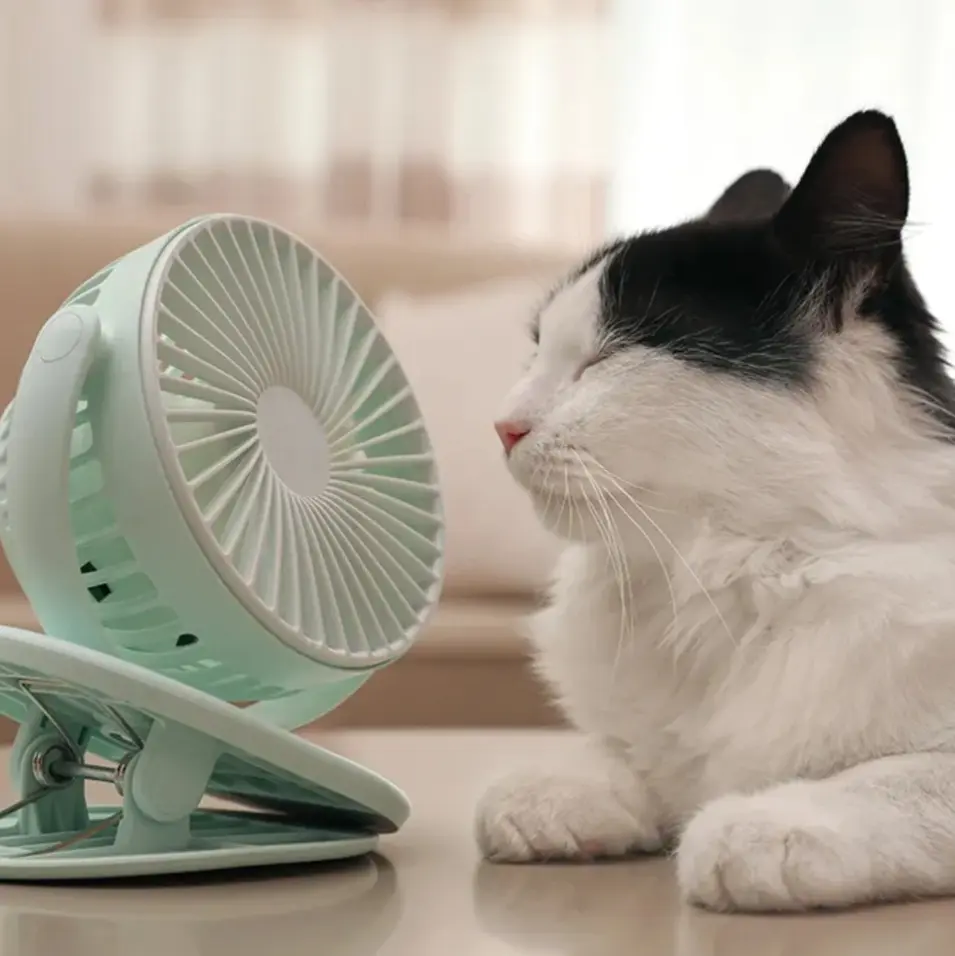 Ventilación de Alta Frecuencia Oscilatoria (VAFO) en Pediatría - Qué es Bafo en medicina bafo ventilador - Qué es Bafo en medicina