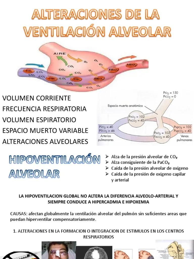 alteración en la ventilación - Qué es una alteración de la respiración