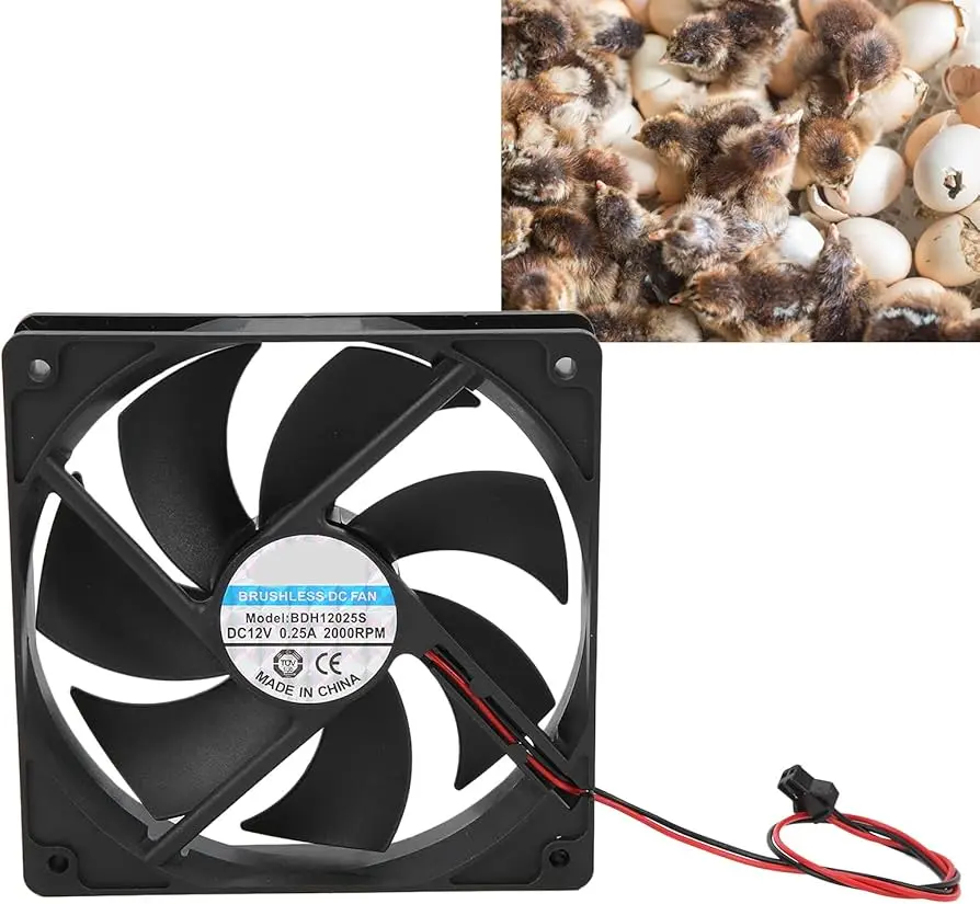 El Papel Crucial del Ventilador en la Incubadora: Guía Completa - Qué función tiene el ventilador en la incubadora ventilador incubadora - Qué función tiene el ventilador en la incubadora