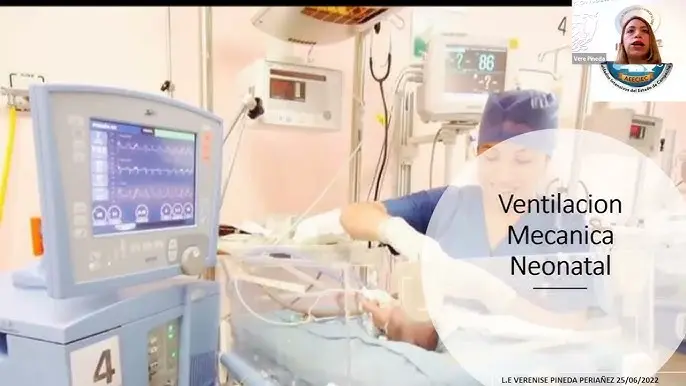 ventilación mecanica neonatal fisioterapia - Qué hace un fisioterapeuta neonatal