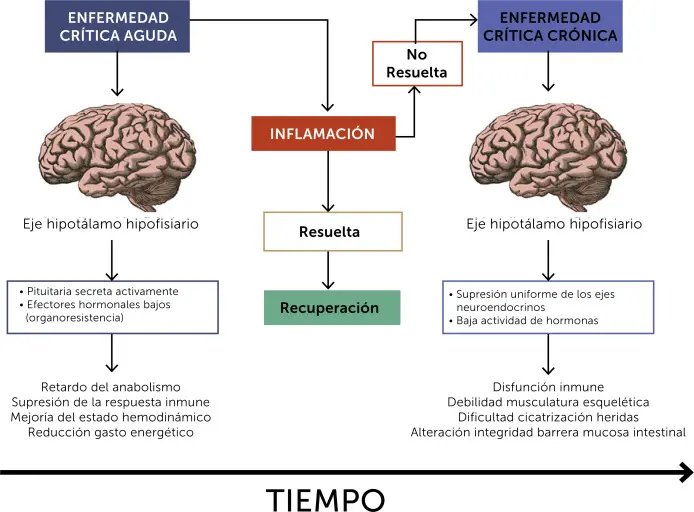 Tratamiento para Pacientes Crónicos Ventilados - Qué medicamento es bueno para la falta de aire crónicos ventilados tratamiento - Qué medicamento es bueno para la falta de aire