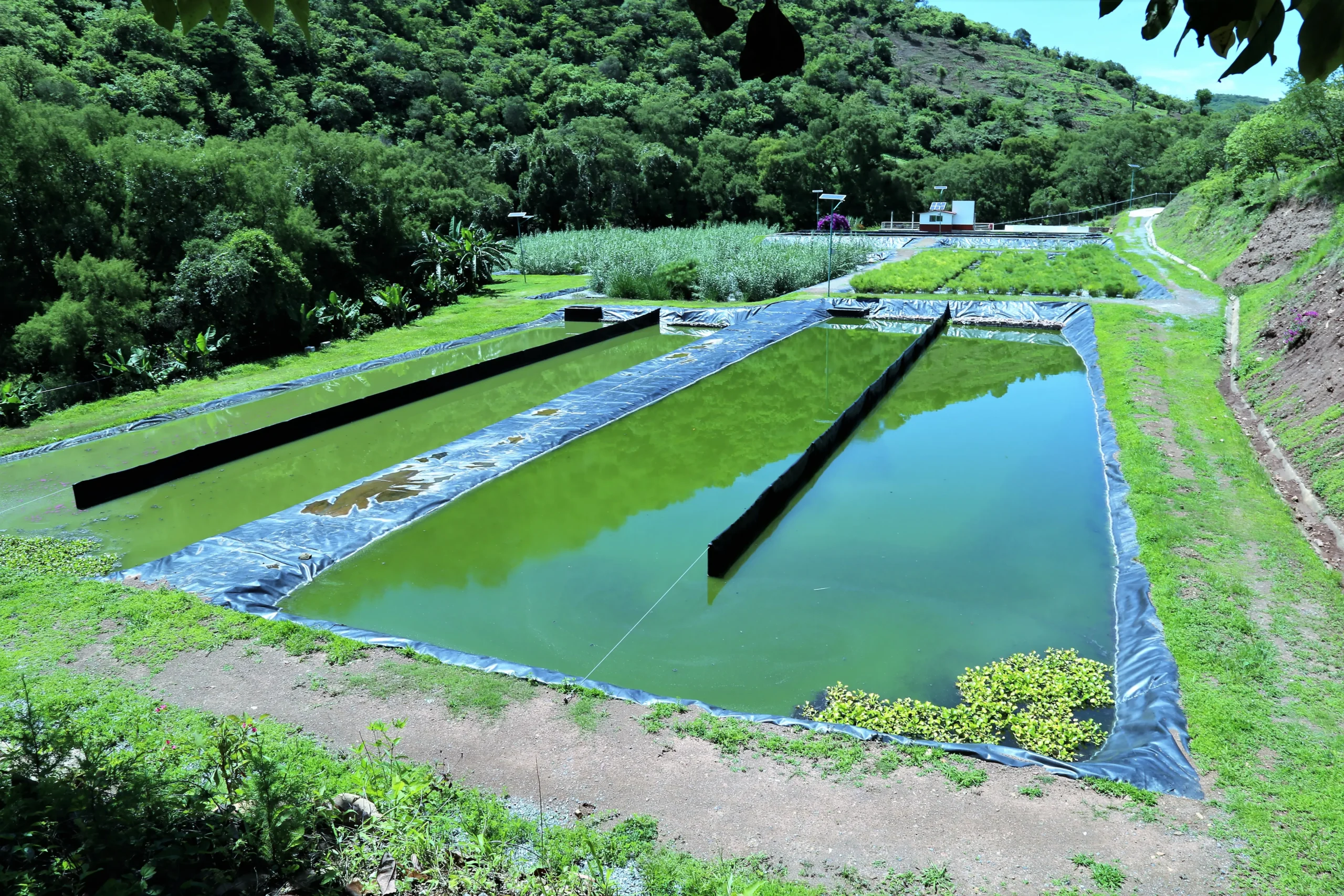 Zonas de Ventilación en Lagunas de Aguas Residuales - Qué son las lagunas de tratamiento de aguas residuales zona de ventilación lagunas aguas residualesn - Qué son las lagunas de tratamiento de aguas residuales