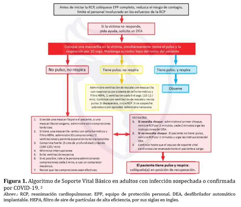 ¿Cual es la Ventilación que Produce Paro Cardiaco? - Qué son las ventilaciones en el RCP cual es la ventilación que produce paro cardiaco - Qué son las ventilaciones en el RCP