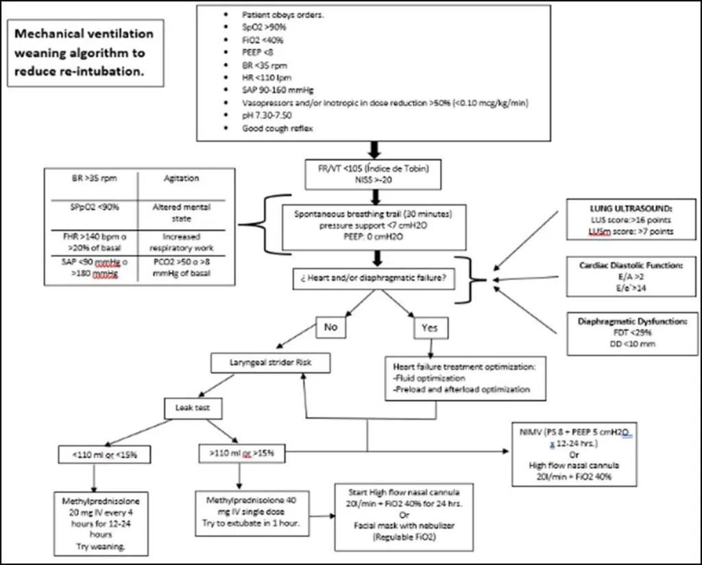 Destete Fallido de la Ventilación Mecánica y Disfunción Cardíaca - What are the risks of dysfunctional ventilatory weaning failed weaning from mechanical ventilation and cardiac dysfunction - What are the risks of dysfunctional ventilatory weaning