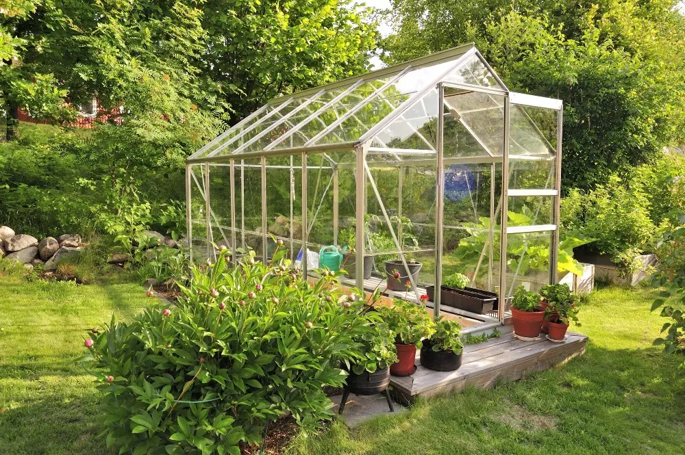 Ventilación del Techo de Invernadero: Una Guía Completa - What is best for a greenhouse roof greenhouse roof ventilation - What is best for a greenhouse roof