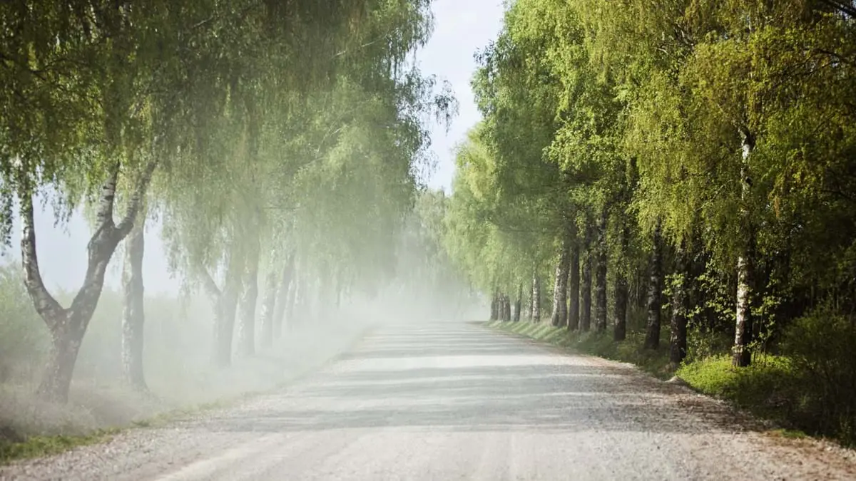 dust ventilation system - What is dust control system