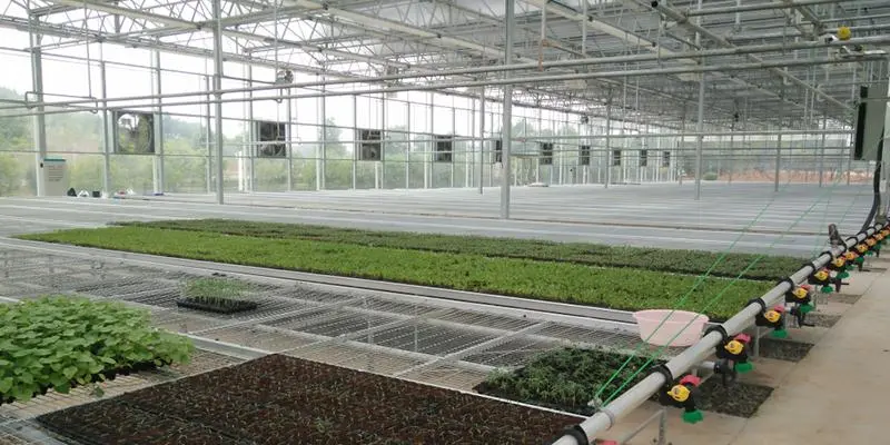 Ventilación Agrícola Natural en la Industria Alimentaria - What is natural ventilation in food industry agricultural ventilation - What is natural ventilation in food industry