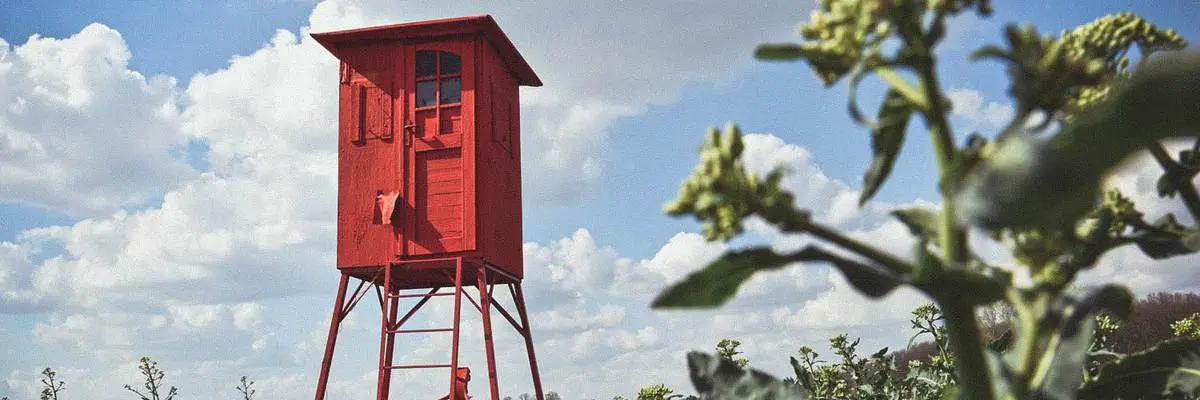 Ventilación del escondite de ciervos: Consejos para una caza exitosa - What is the best way to insulate a deer blind deer blind ventilation - What is the best way to insulate a deer blind