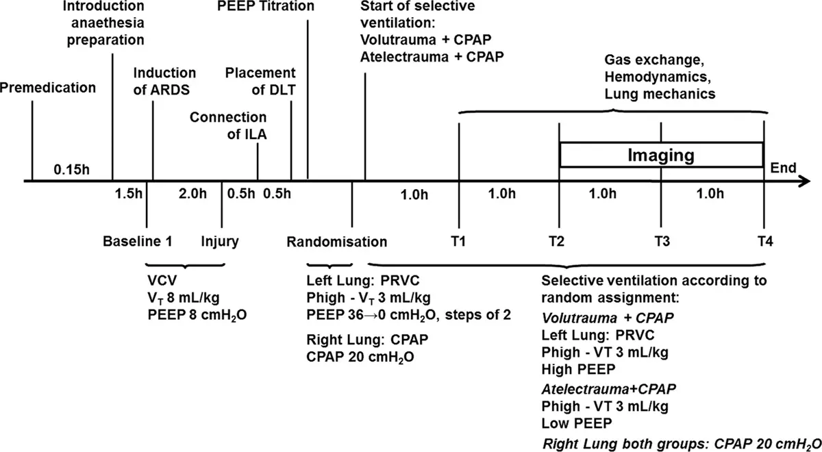 Atelectrauma en Ventilación Mecánica: Un Análisis Exhaustivo - What is the difference between Volutrauma and atelectrauma atelectrauma mechanical ventilation - What is the difference between Volutrauma and atelectrauma