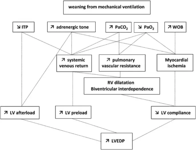 Destete Fallido de la Ventilación Mecánica y Disfunción Cardíaca - What is the differential diagnosis for failure to wean from mechanical ventilation failed weaning from mechanical ventilation and cardiac dysfunction - What is the differential diagnosis for failure to wean from mechanical ventilation