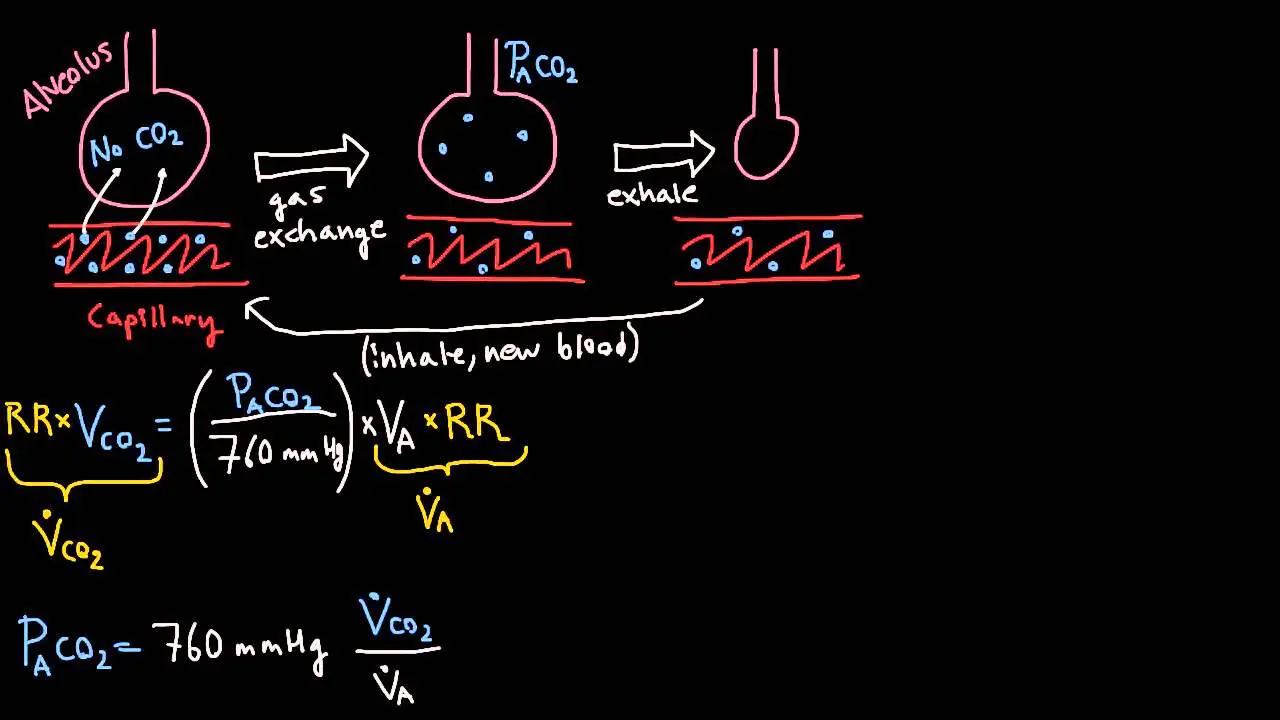 alveolar ventilation calculation - What is the formula for calculating alveolar air