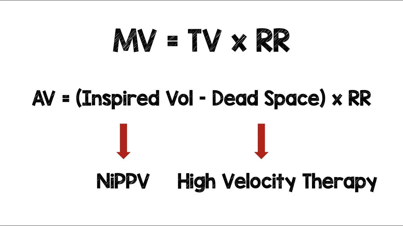 Fórmula para la Ventilación: Una Guía Completa - What is the formula for the ventilatory ratio formula for ventilation - What is the formula for the ventilatory ratio