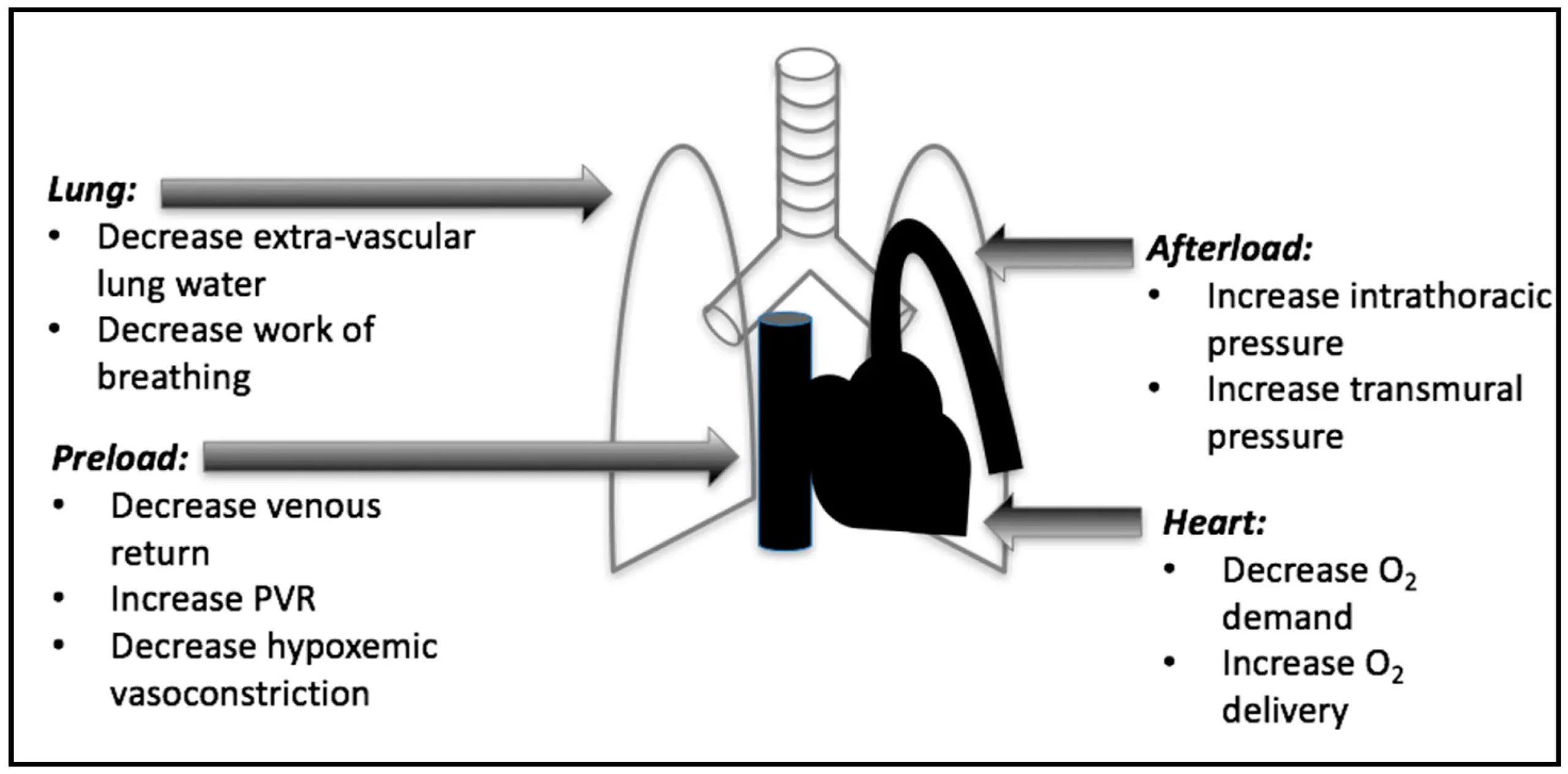 Insuficiencia Respiratoria Aguda y Ventilación Mecánica en Shock Cardiogénico - What is the mechanical cause of cardiogenic shock acute respiratory failure and mechanical ventilation and cardiogenic shock - What is the mechanical cause of cardiogenic shock