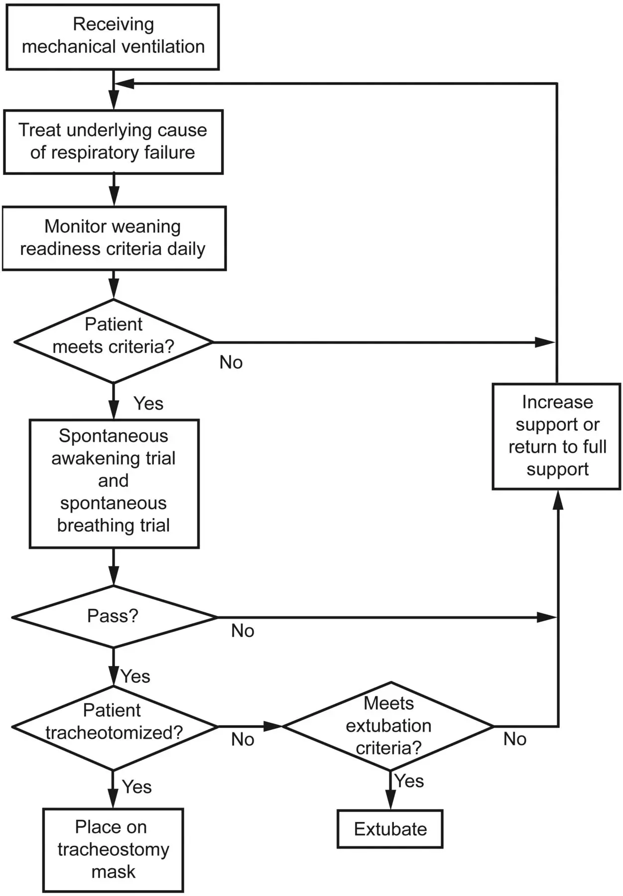El Proceso de Desconexión del Ventilador: Una Guía Completa - What is the process of coming off a ventilator the ventilator discontinuation process - What is the process of coming off a ventilator