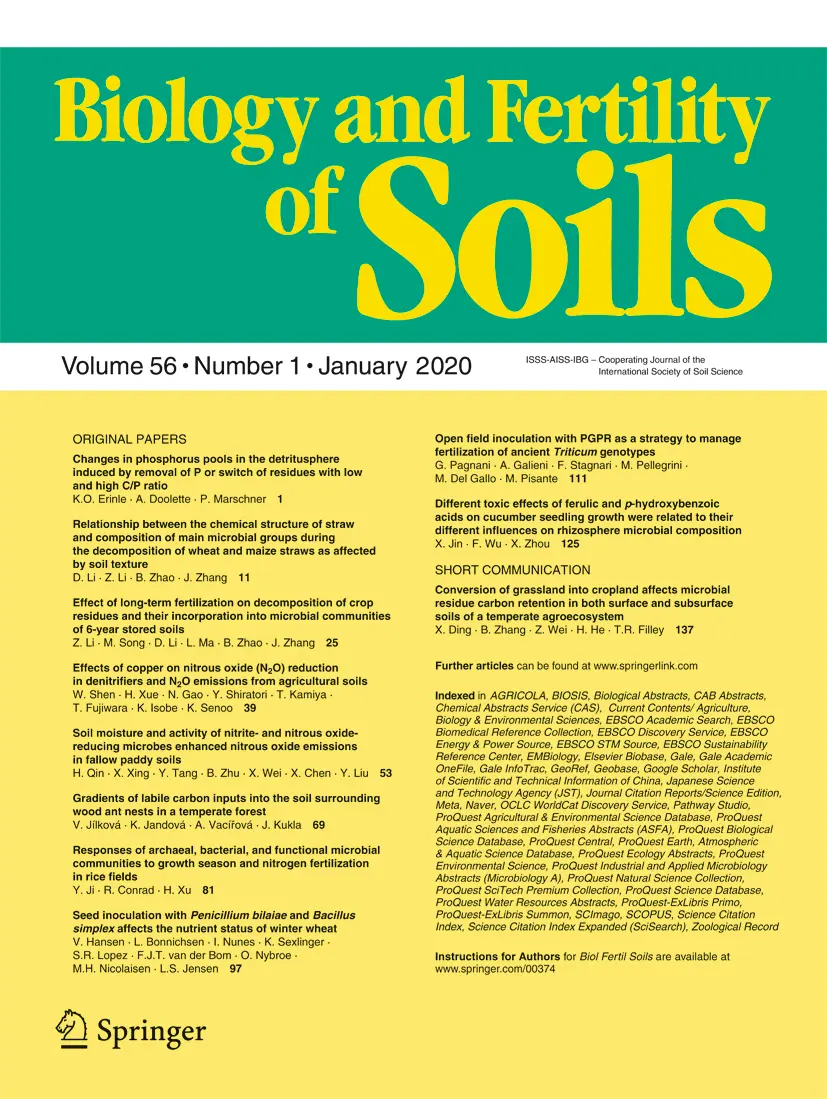 Neumonía Asociada al Ventilador por Pseudomonas Aeruginosa: Una Guía Completa - What is VAP with Pseudomonas pseudomonas aeruginosa ventilator-associated - What is VAP with Pseudomonas