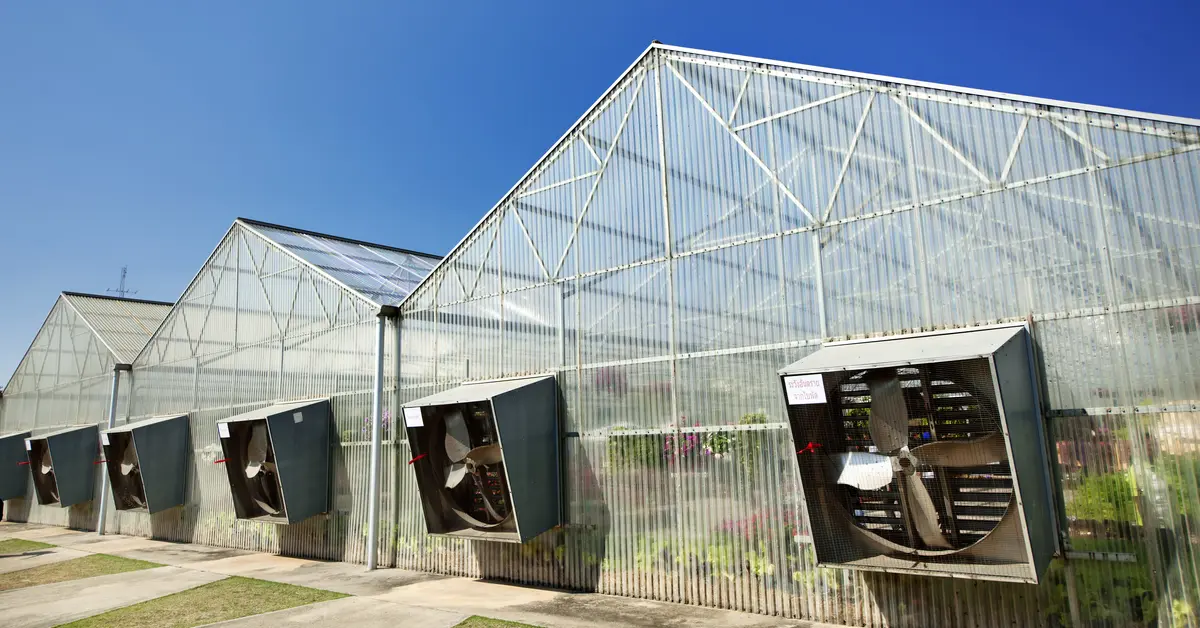 greenhouse ventilation fans - What kind of fan is used in a greenhouse