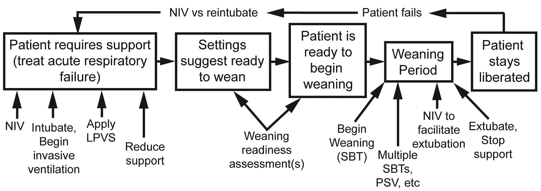 El Proceso de Desconexión del Ventilador: Una Guía Completa - What's the difference between weaning from a ventilator and ventilator discontinuation the ventilator discontinuation process - What's the difference between weaning from a ventilator and ventilator discontinuation