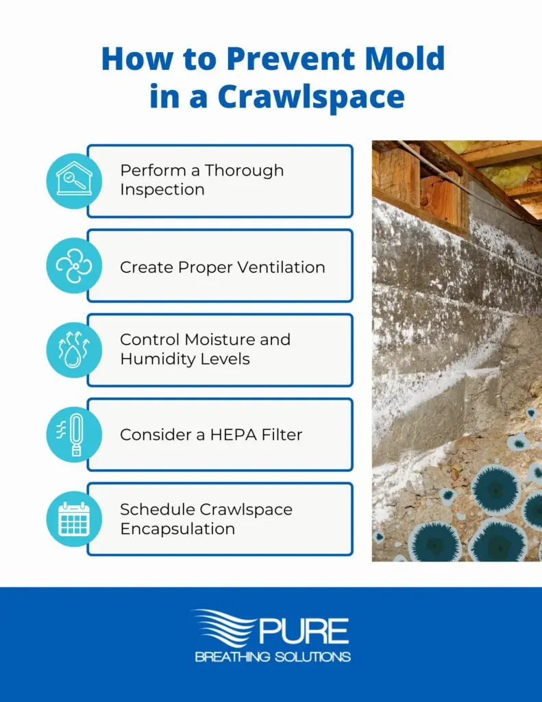 does ventilation prevent mold - Will mold go away with ventilation